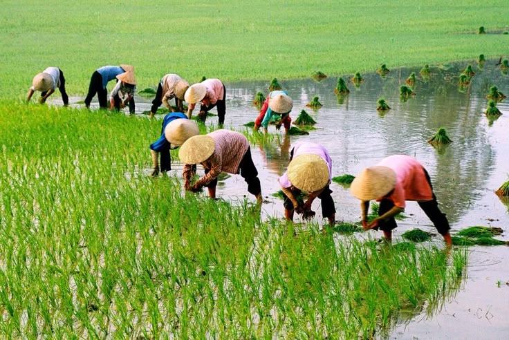 Sustainable Farming Practices
