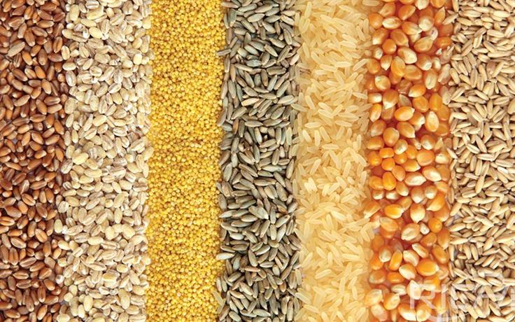 Indian crops farming